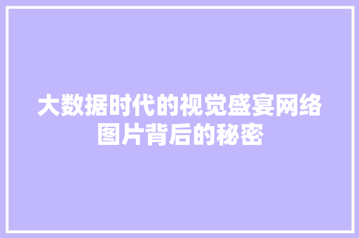 大数据时代的视觉盛宴网络图片背后的秘密