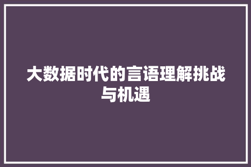 大数据时代的言语理解挑战与机遇