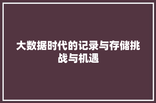 大数据时代的记录与存储挑战与机遇  第1张