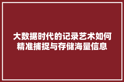 大数据时代的记录艺术如何精准捕捉与存储海量信息
