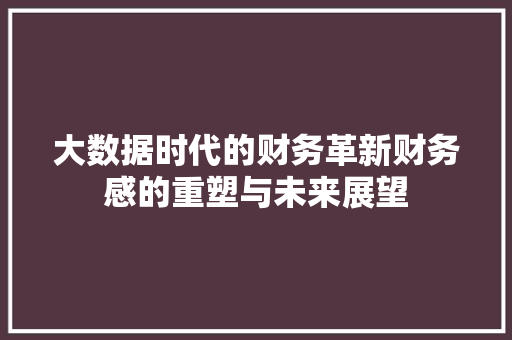 大数据时代的财务革新财务感的重塑与未来展望  第1张