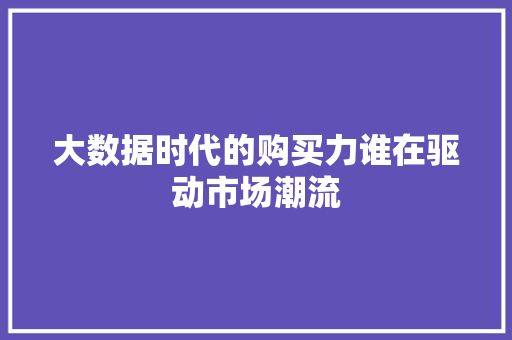 大数据时代的购买力谁在驱动市场潮流  第1张