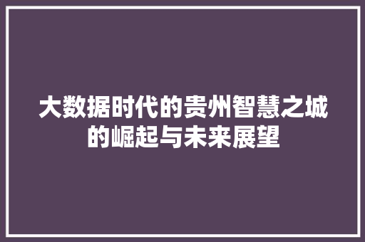 大数据时代的贵州智慧之城的崛起与未来展望  第1张
