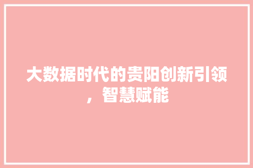 大数据时代的贵阳创新引领，智慧赋能