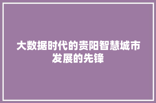 大数据时代的贵阳智慧城市发展的先锋  第1张