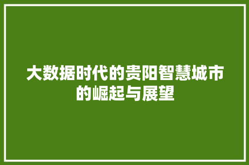 大数据时代的贵阳智慧城市的崛起与展望