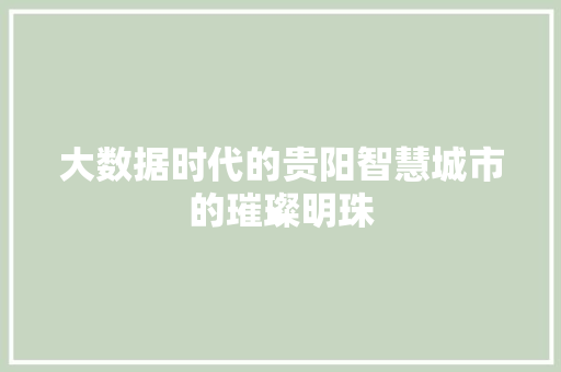 大数据时代的贵阳智慧城市的璀璨明珠  第1张