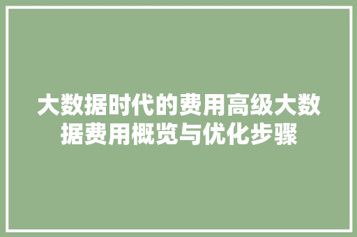 大数据时代的费用高级大数据费用概览与优化步骤