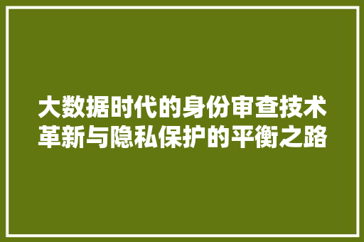 大数据时代的身份审查技术革新与隐私保护的平衡之路