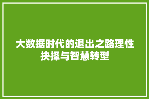 大数据时代的退出之路理性抉择与智慧转型