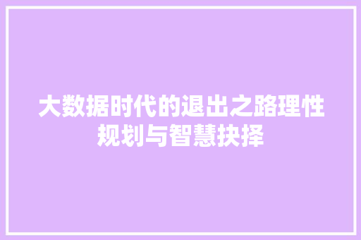 大数据时代的退出之路理性规划与智慧抉择