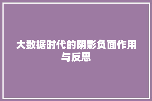 大数据时代的阴影负面作用与反思  第1张