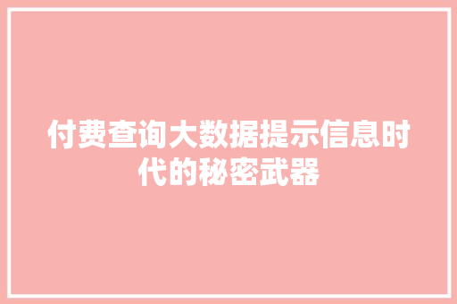 付费查询大数据提示信息时代的秘密武器