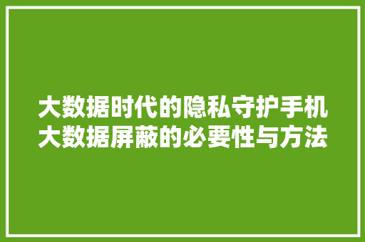 大数据时代的隐私守护手机大数据屏蔽的必要性与方法探索