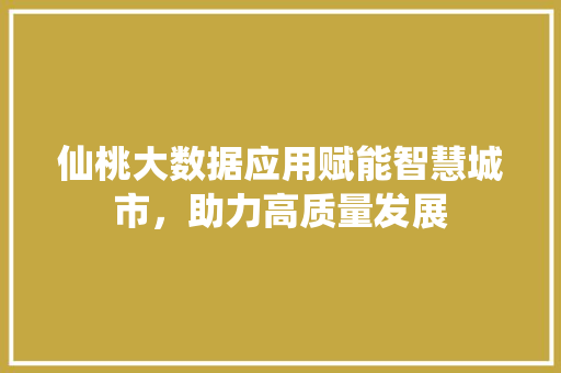 仙桃大数据应用赋能智慧城市，助力高质量发展  第1张