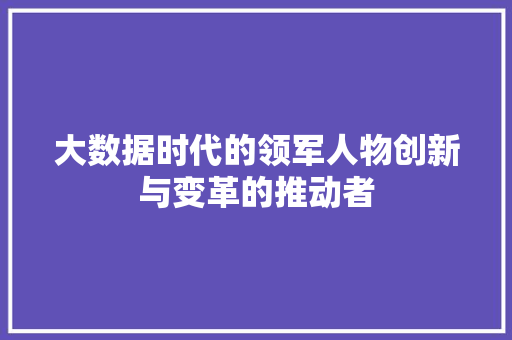 大数据时代的领军人物创新与变革的推动者  第1张