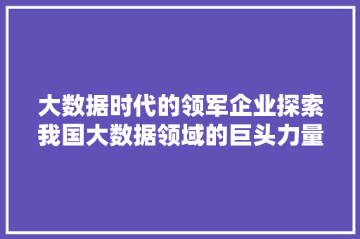 大数据时代的领军企业探索我国大数据领域的巨头力量  第1张