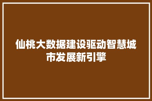 仙桃大数据建设驱动智慧城市发展新引擎  第1张