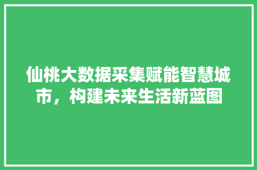 仙桃大数据采集赋能智慧城市，构建未来生活新蓝图  第1张