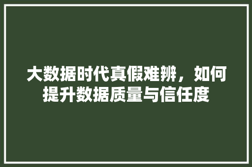 大数据时代真假难辨，如何提升数据质量与信任度