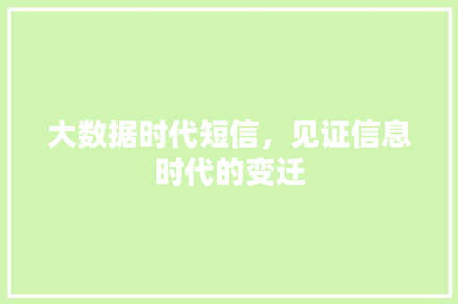 大数据时代短信，见证信息时代的变迁