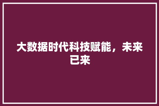 大数据时代科技赋能，未来已来  第1张