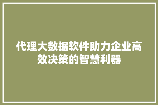 代理大数据软件助力企业高效决策的智慧利器