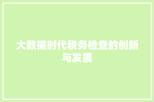 大数据时代税务检查的创新与发展  第1张