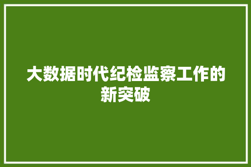 大数据时代纪检监察工作的新突破