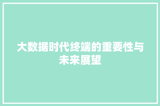 大数据时代终端的重要性与未来展望  第1张