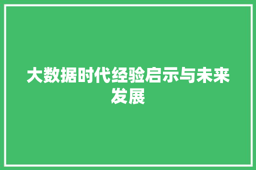 大数据时代经验启示与未来发展  第1张