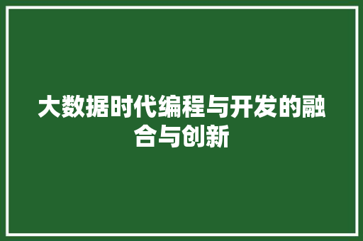 大数据时代编程与开发的融合与创新
