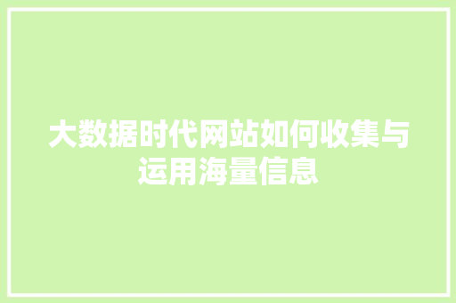 大数据时代网站如何收集与运用海量信息  第1张