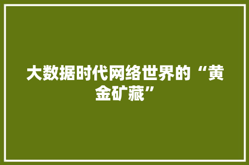 大数据时代网络世界的“黄金矿藏”  第1张