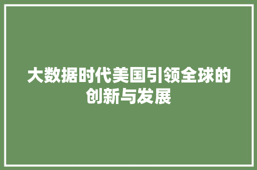 大数据时代美国引领全球的创新与发展  第1张