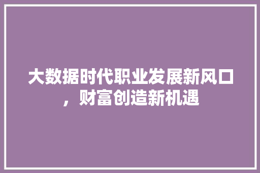 大数据时代职业发展新风口，财富创造新机遇  第1张