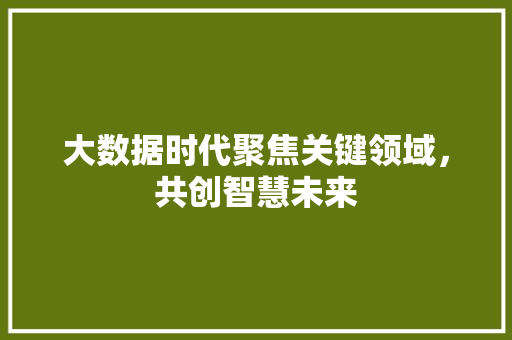 大数据时代聚焦关键领域，共创智慧未来  第1张