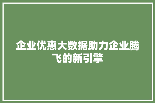 企业优惠大数据助力企业腾飞的新引擎