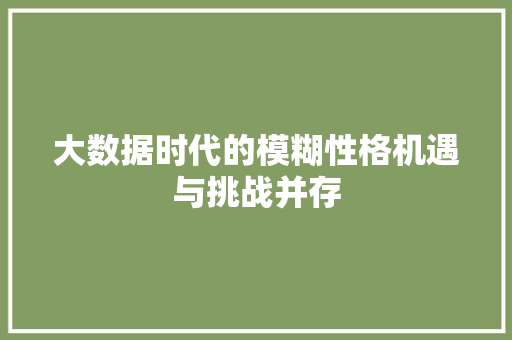 大数据时代的模糊性格机遇与挑战并存  第1张