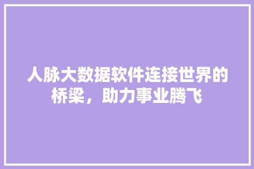 人脉大数据软件连接世界的桥梁，助力事业腾飞