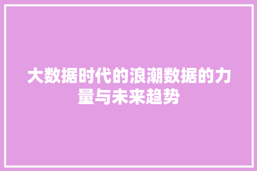 大数据时代的浪潮数据的力量与未来趋势  第1张