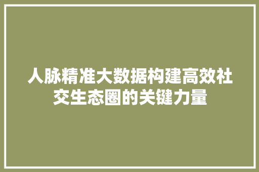 人脉精准大数据构建高效社交生态圈的关键力量