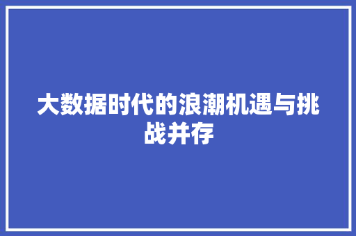 大数据时代的浪潮机遇与挑战并存  第1张