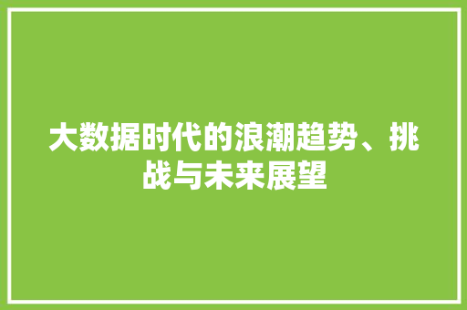 大数据时代的浪潮趋势、挑战与未来展望  第1张