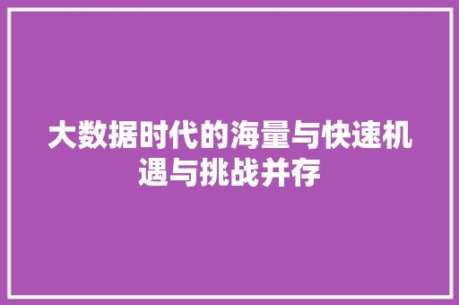 大数据时代的海量与快速机遇与挑战并存  第1张