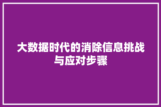 大数据时代的消除信息挑战与应对步骤  第1张