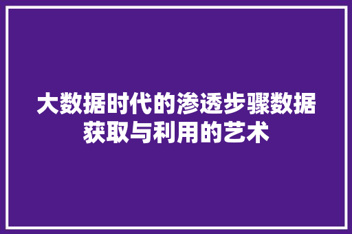 大数据时代的渗透步骤数据获取与利用的艺术  第1张