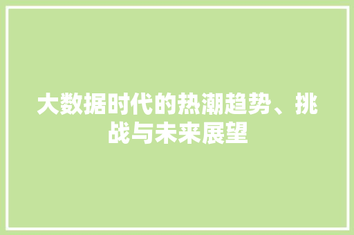 大数据时代的热潮趋势、挑战与未来展望  第1张