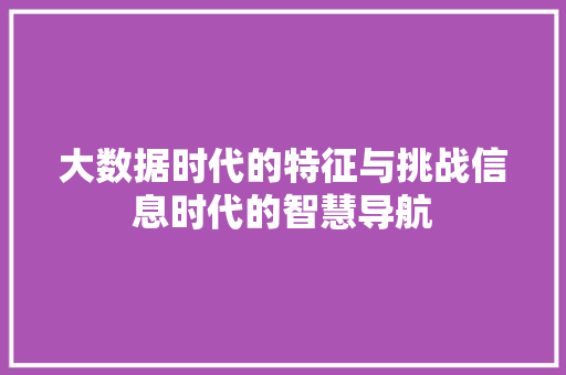 大数据时代的特征与挑战信息时代的智慧导航