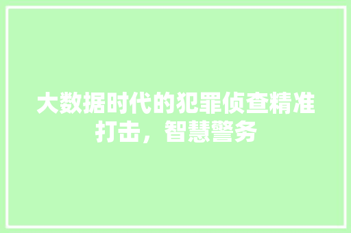大数据时代的犯罪侦查精准打击，智慧警务
